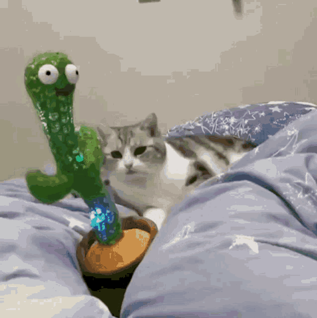 CrazyCactus™ - LED Dancing & Mimicry Cactus Toy by Comfortrix