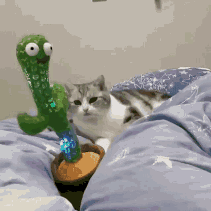 CrazyCactus™ - LED Dancing & Mimicry Cactus Toy by Comfortrix